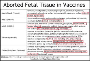 aborted fetal tissue in vaccines