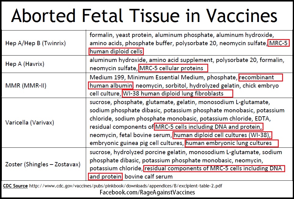 aborted fetal tissue in vaccines